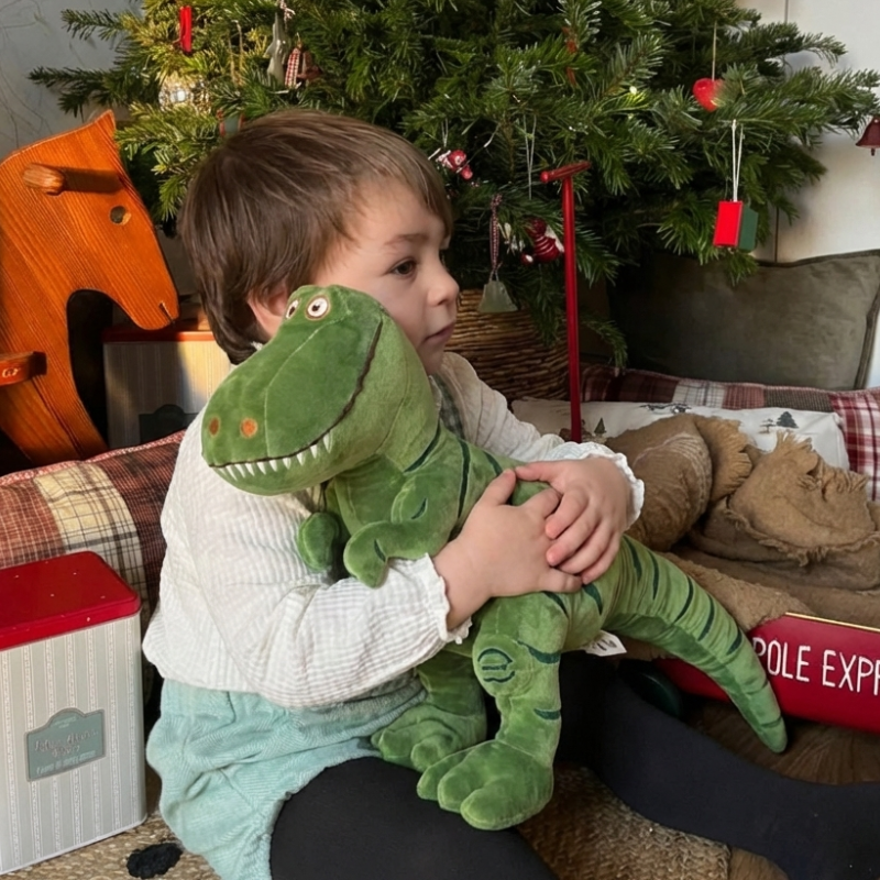 Cicimi DinoSnug T-Rex Plush Toy — Soft Comfort for Kids