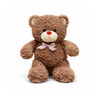 Riccardo CozyBear Plush Teddy Toy — Clean Quality for Kids