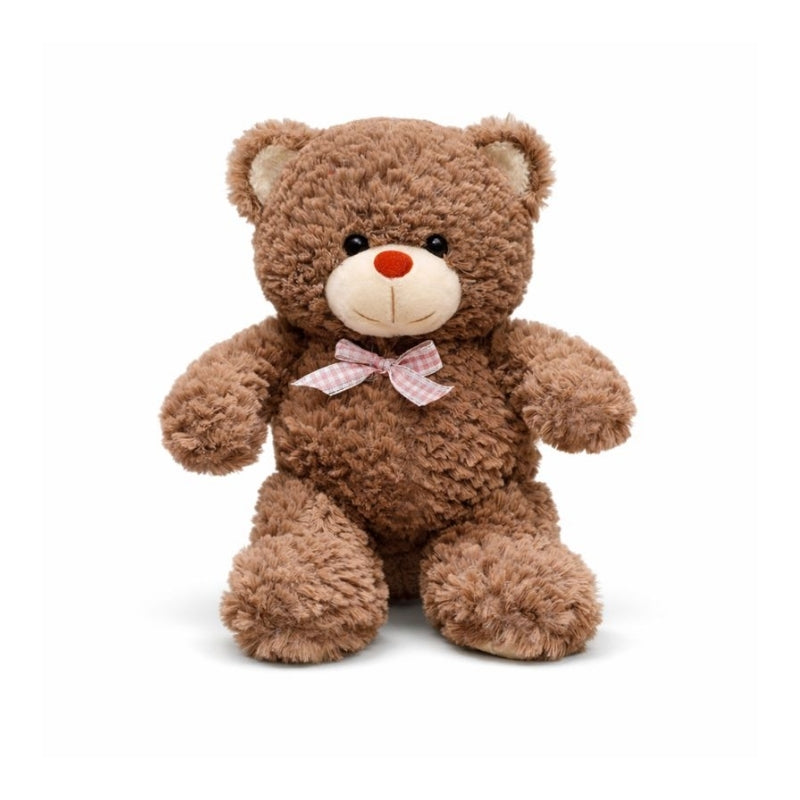 Riccardo CozyBear Plush Teddy Toy — Clean Quality for Kids